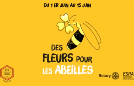 Sauvons nos abeilles ! Offrons leur des fleurs à butiner. Agissez avec votre club